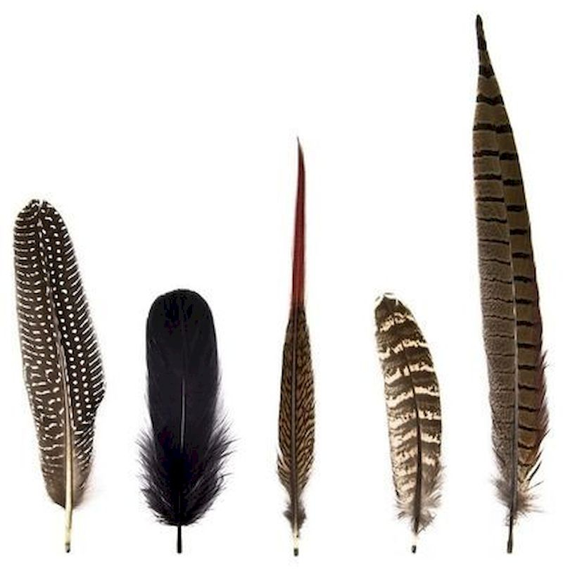 Luxury bedroom design ideas with goose feather 41