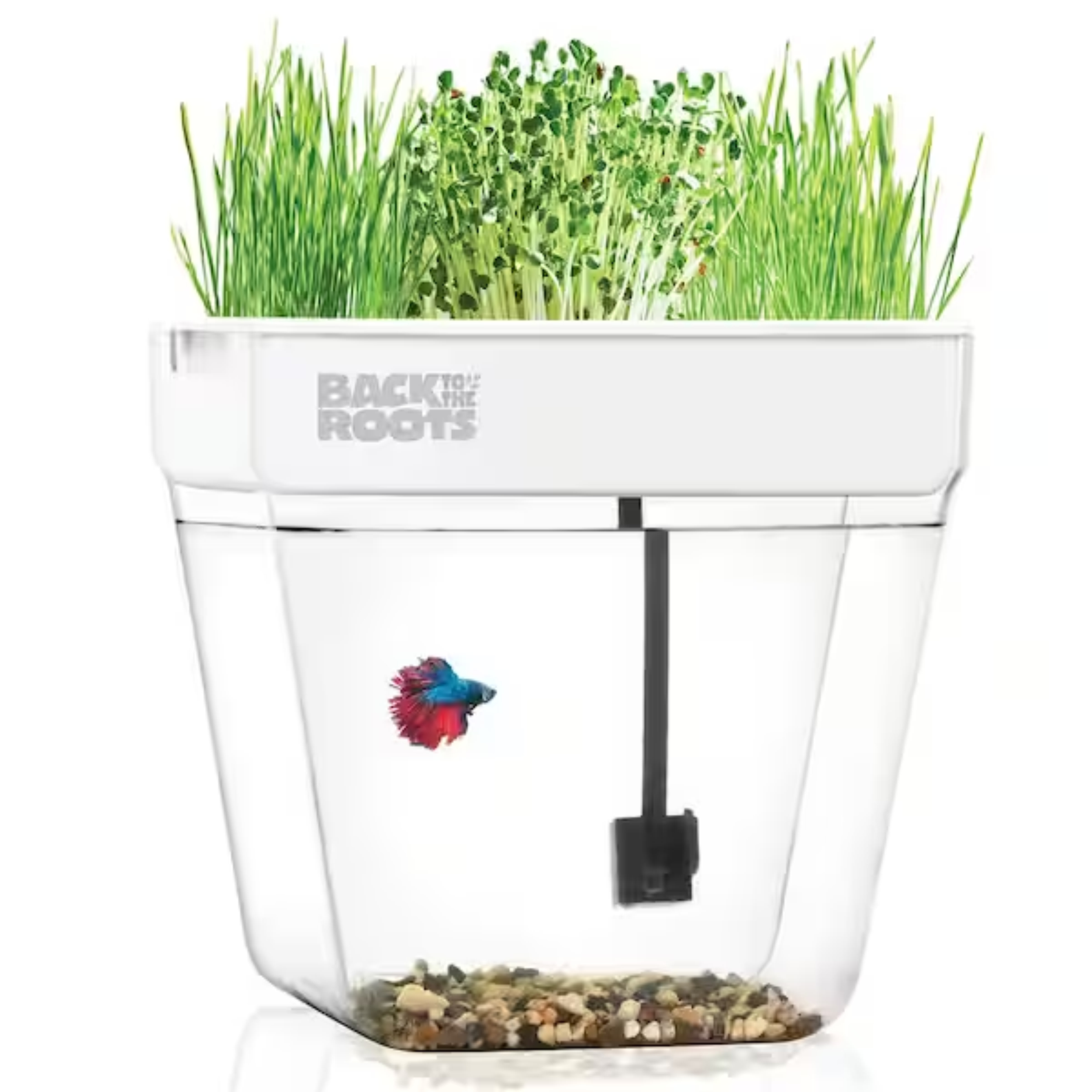 Premium acrylic water garden fish tank that grows food