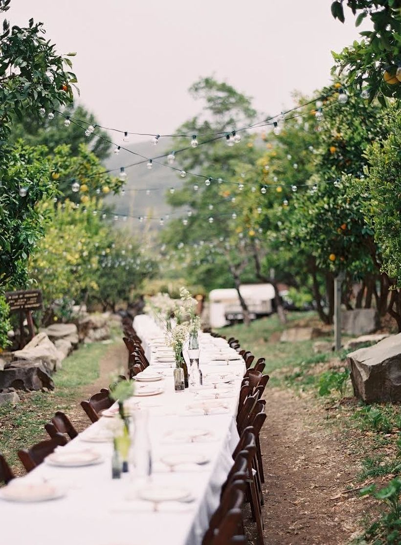 A comfortable outdoor table set for wedding with a crisp winding table decorated with arrangements of baby's breath and vintage dinnerware, lined dark, fold-back wooden chairs.