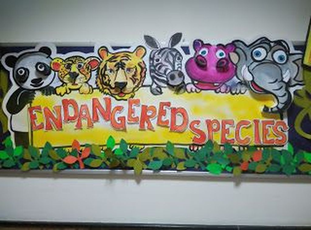 Animals design to perfect your biard display