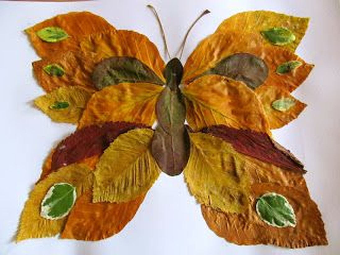 Best autumn leaves craft butterfly shape