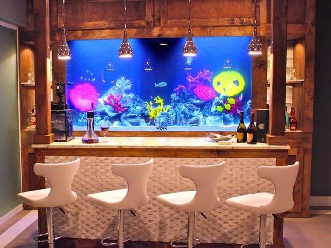 Fish tank bar