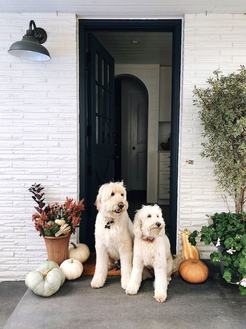 Pumpkins decoration to beautify your home