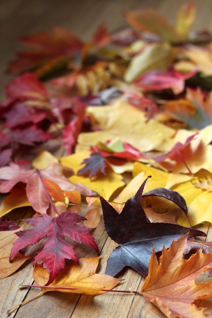 Autumn leaves craft table decoration