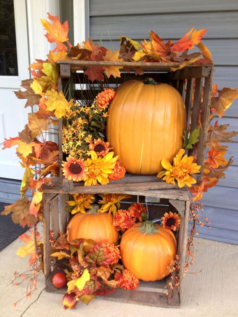 Big pumpkins and wooden box