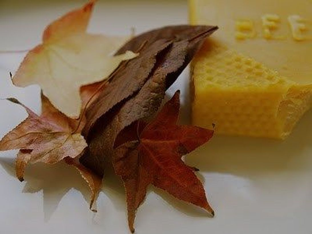 Interesting autumn leaves craft ideas