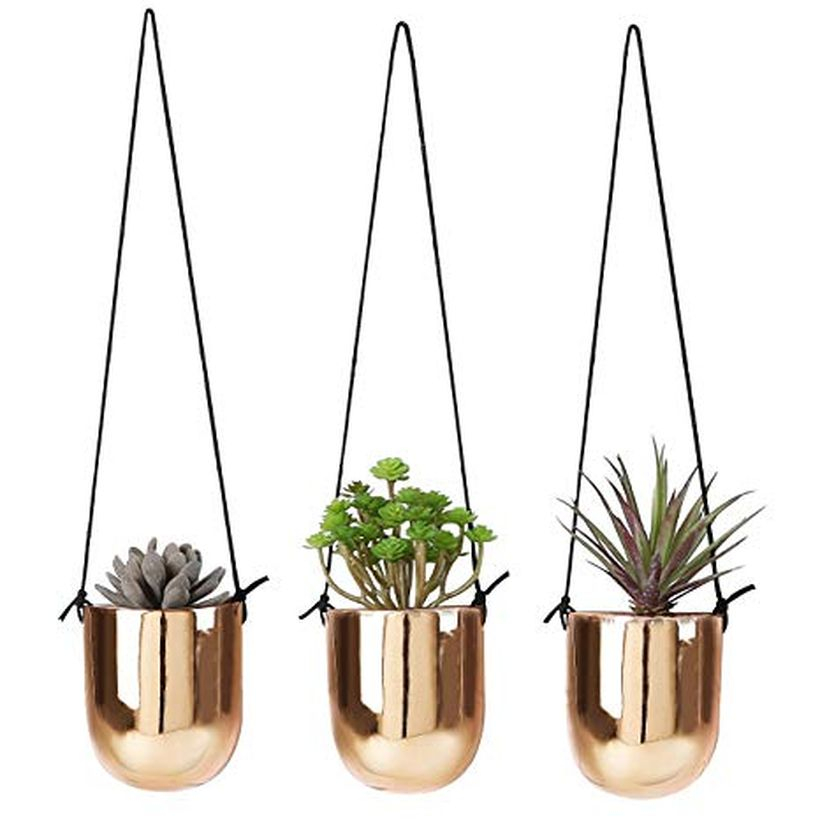 An amazing hanging succulent ideas with gold pots to look luxury