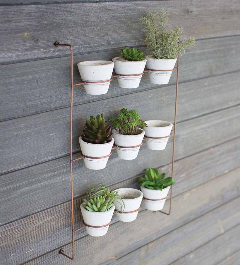An awesome rack placement succulent ideas with iron rack, small white pot to look creative