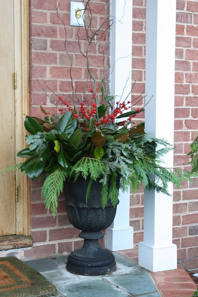 An amazing plants decoration