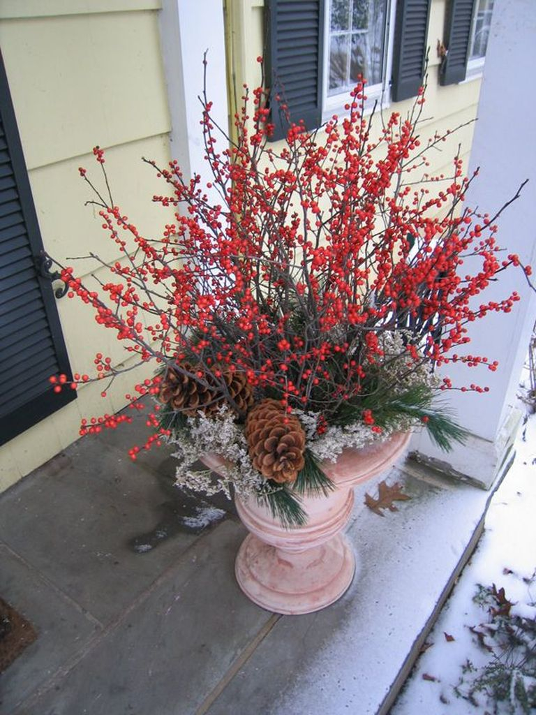 An awesome plants combined with red flowers