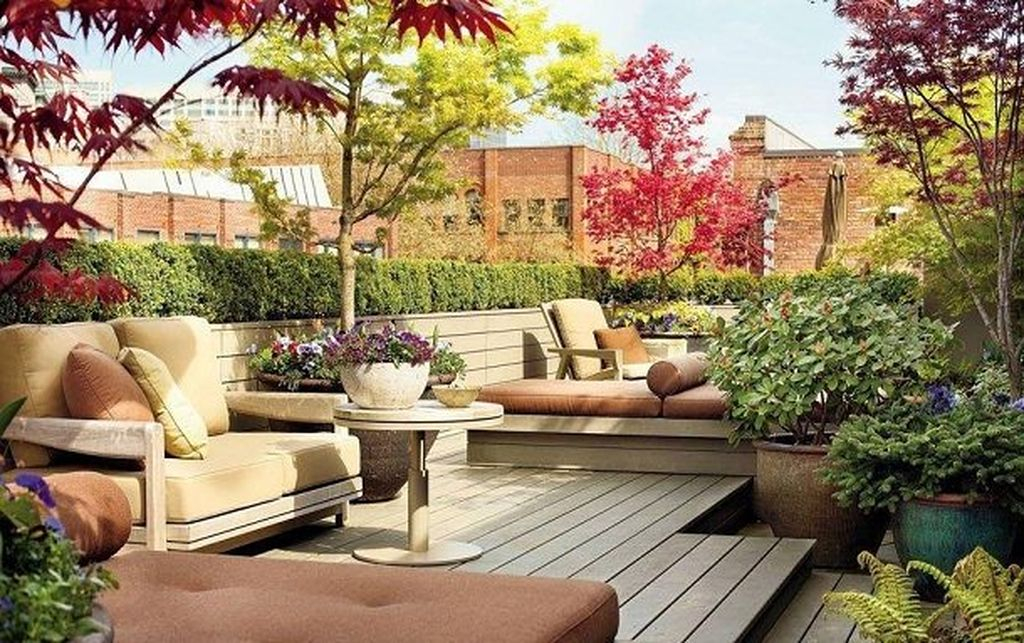 An awesome rooftop garden design with large plants, shrubs and small trees, groundcovers, annuals must be there to complete your rooftop design