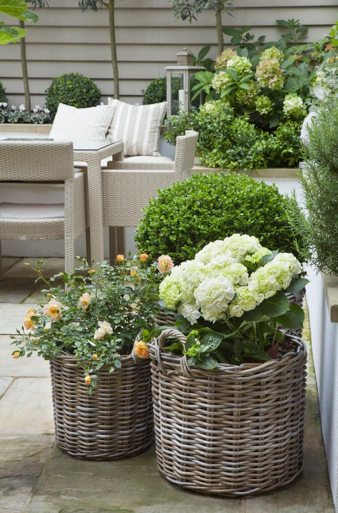 Basket combined with plants and flowers decoration