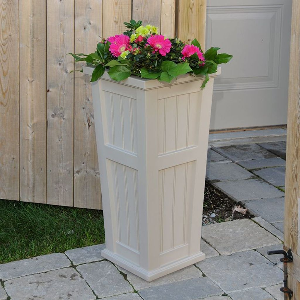 Beautiful flowers for fall decoration