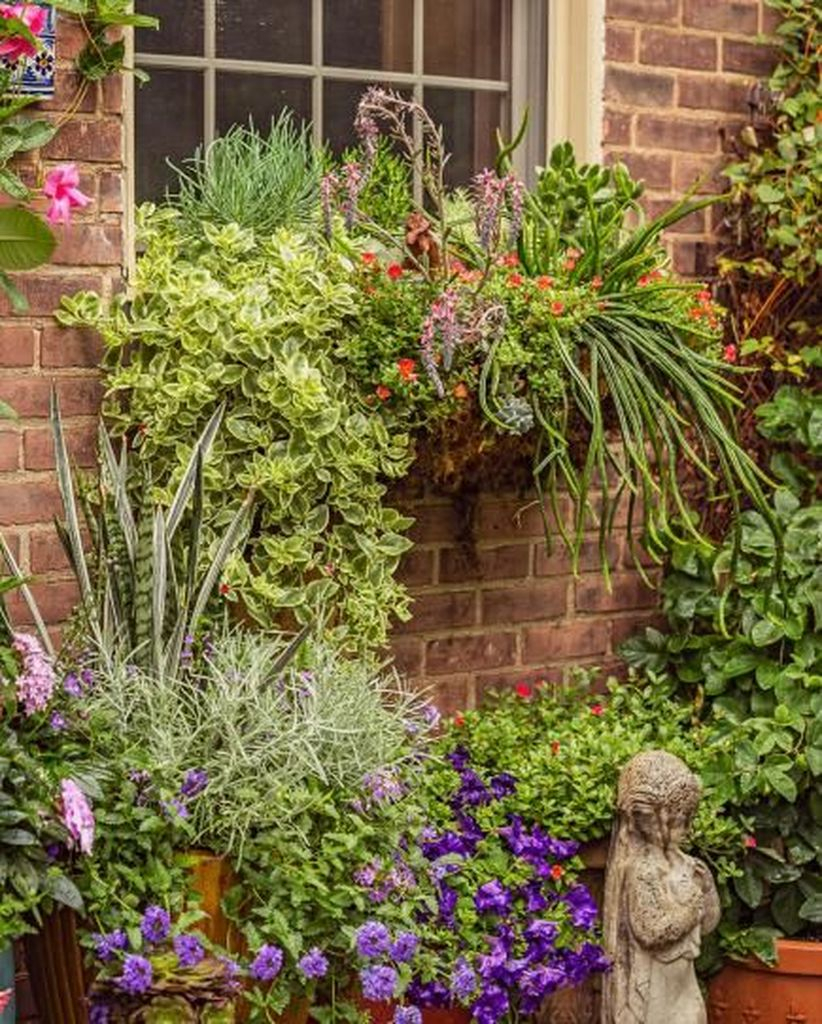 Beautiful plants decoration on the walls