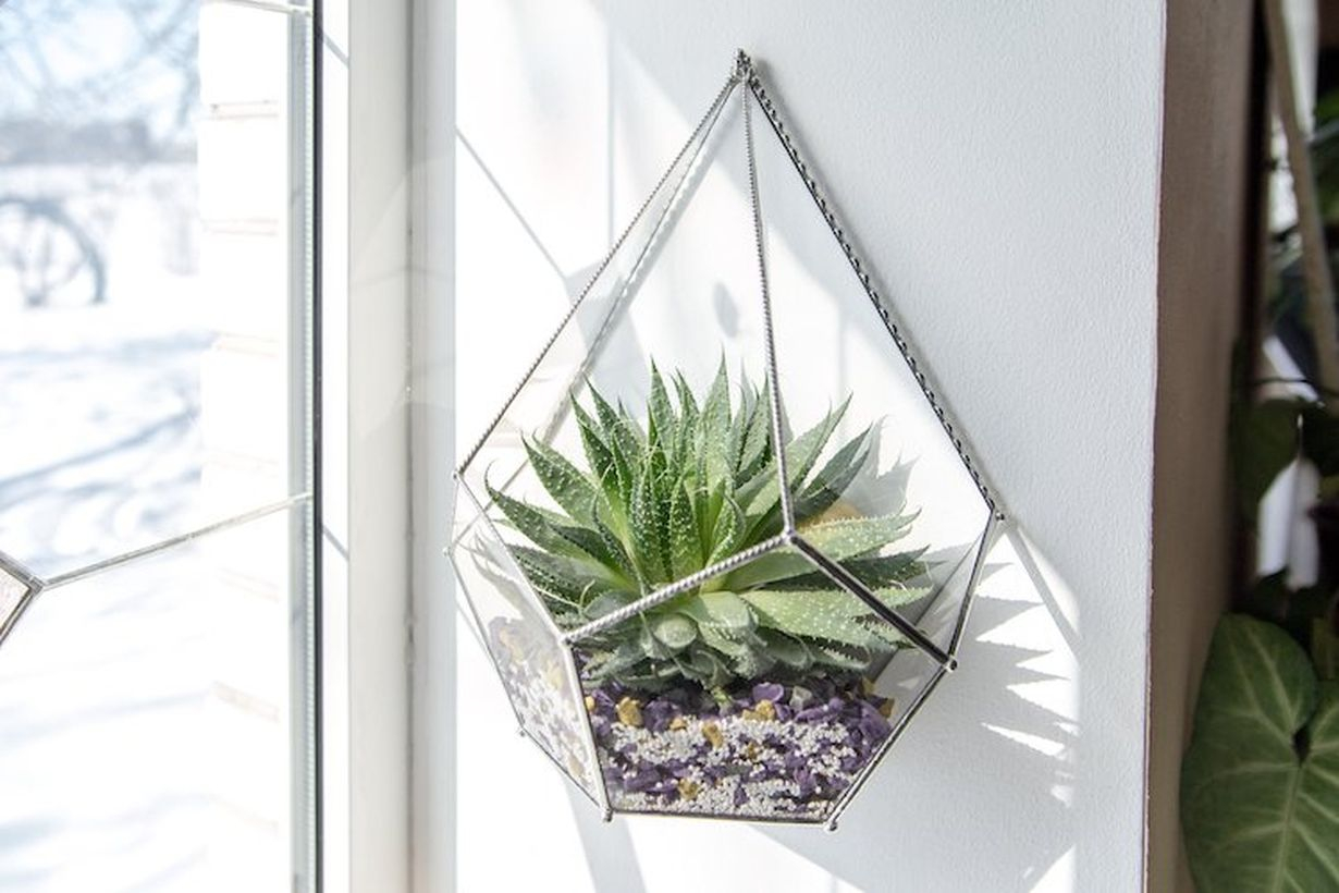 Best hanging succulent ideas with terrarium pot to look beautiful