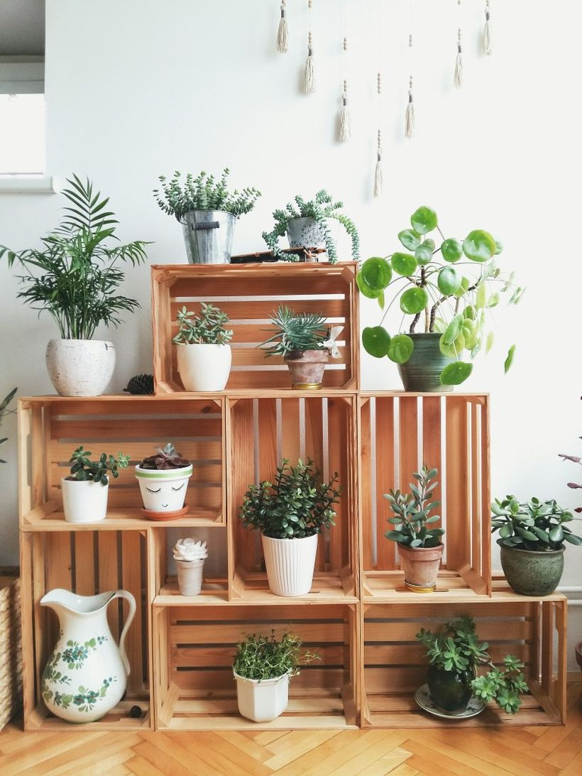 Best wooden pallet rack placement succulent with square shape for beautiful decoration
