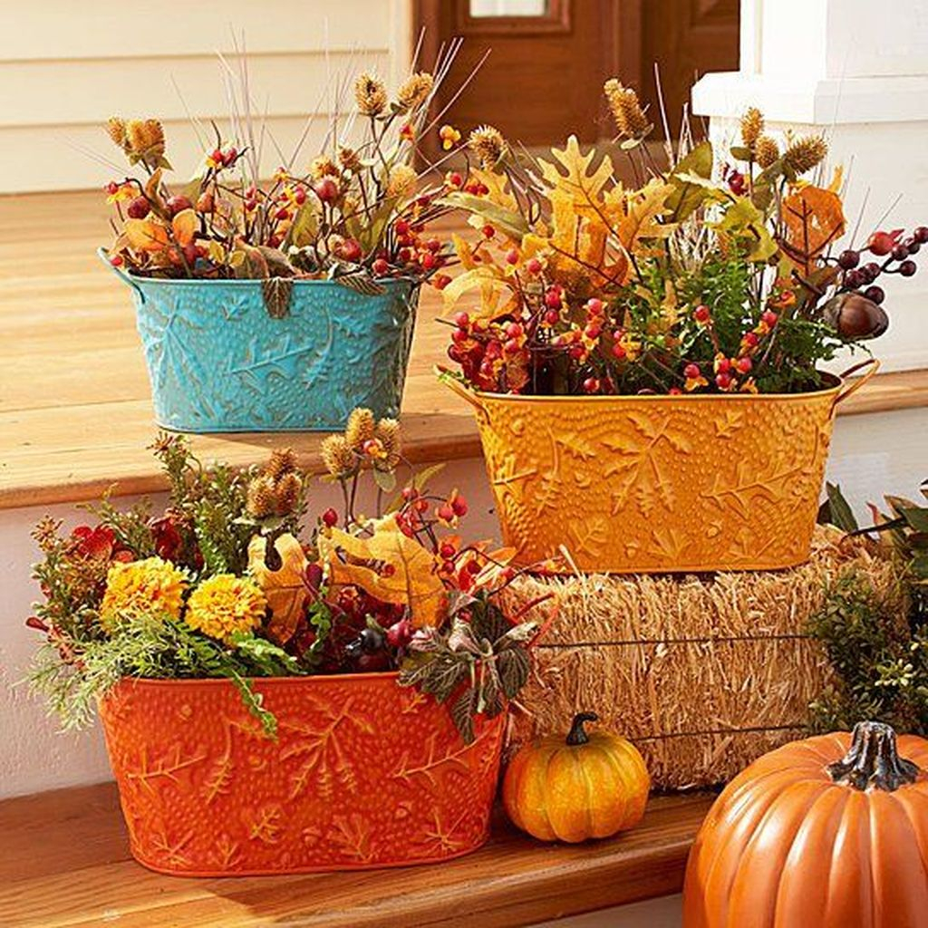 Colorful pot combined with plants decoration