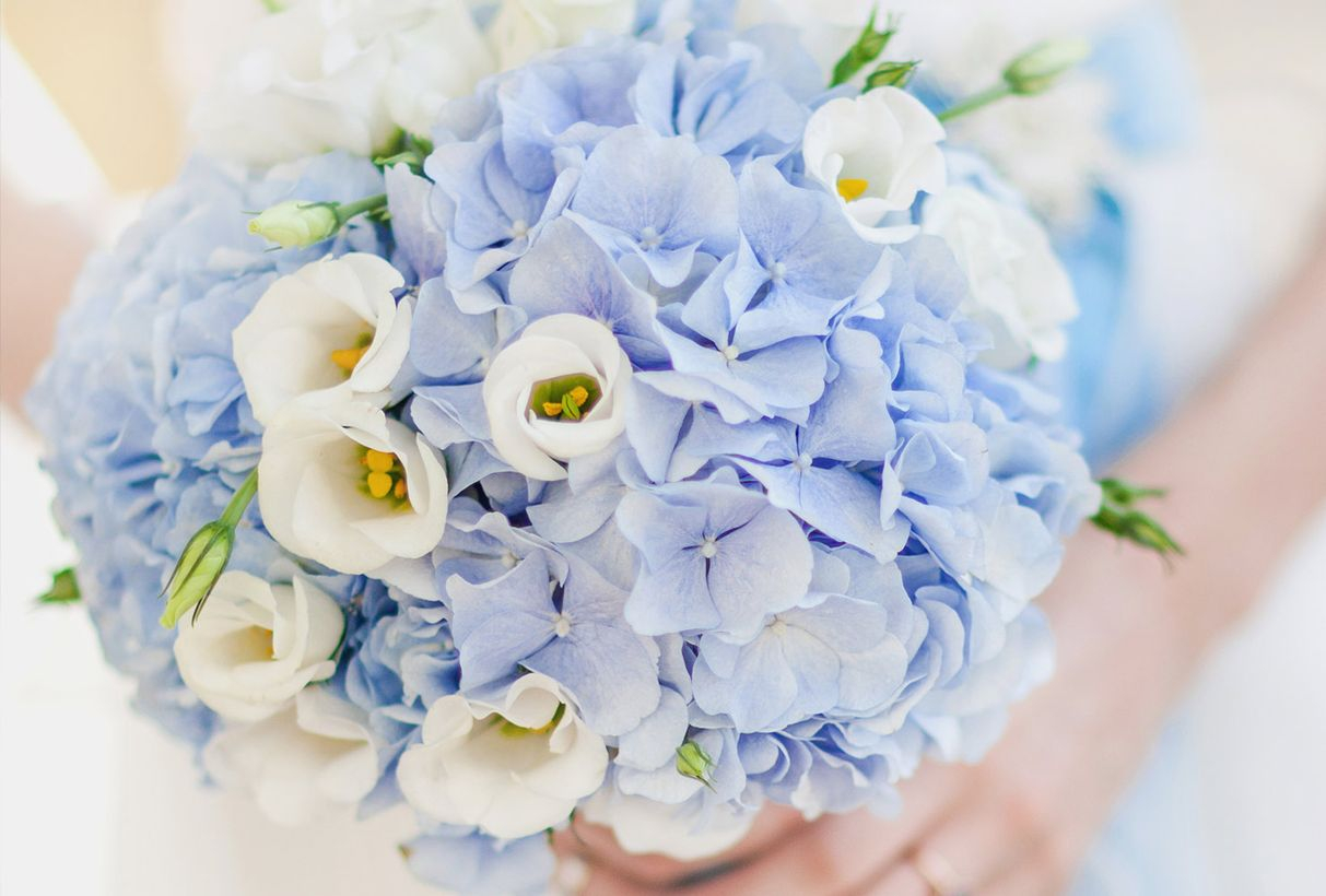 Flower bouquet for fancy wedding with hydrangea’s voluminous to create beauty