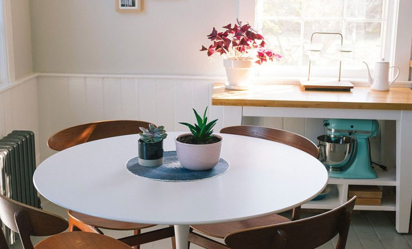Gorgeous succulent with square shape for beautiful decoration above round table