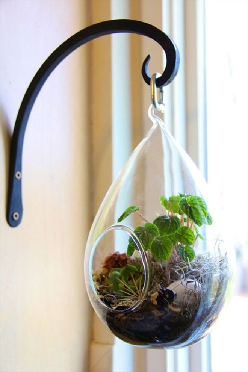 Impressive terrarium designs for your home decoration with a teardrop shape glass globe then hung using curved iron