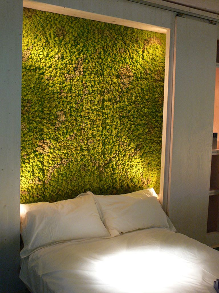 Modern bedroom design with perfect lighting and moss on the wall to perfect your bedroom design