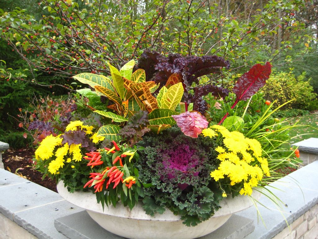 Plants combined with yellow flowers