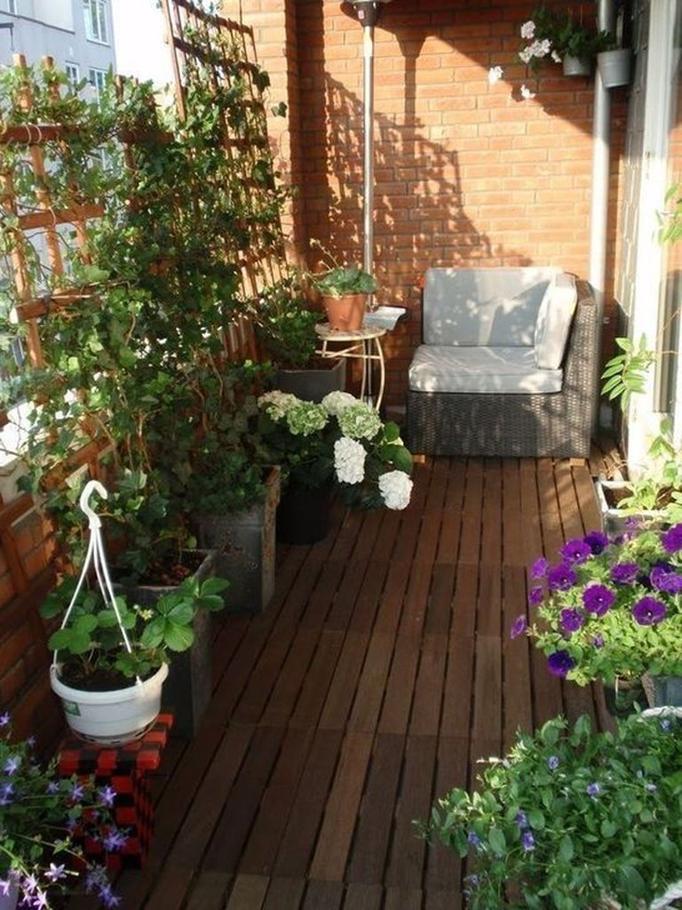 Plants decoration to complete your small balcony