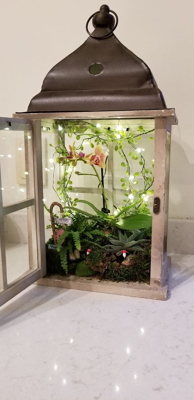 Simple lantern terrarium with small greenery and decorative lighting to create beautify the room