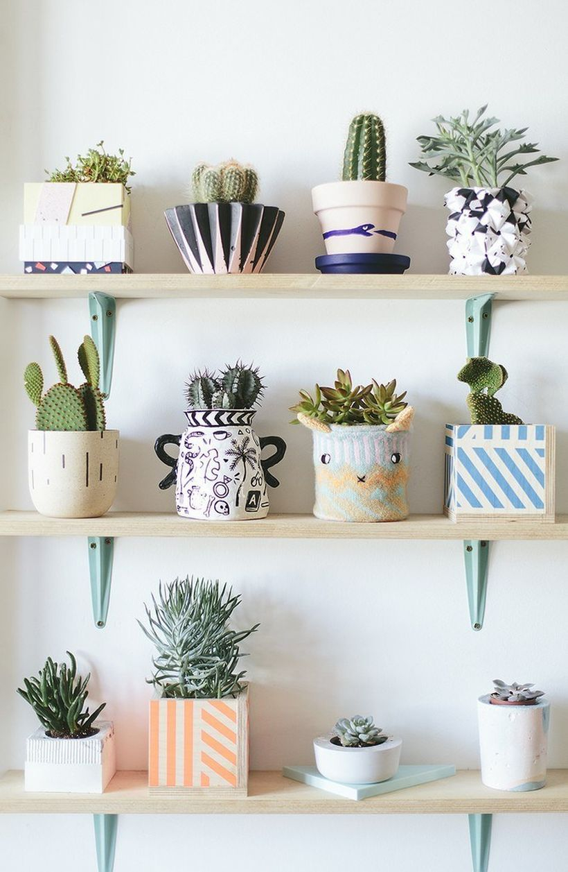 Simple wooden rack placement succulent ideas with small pot on the wall