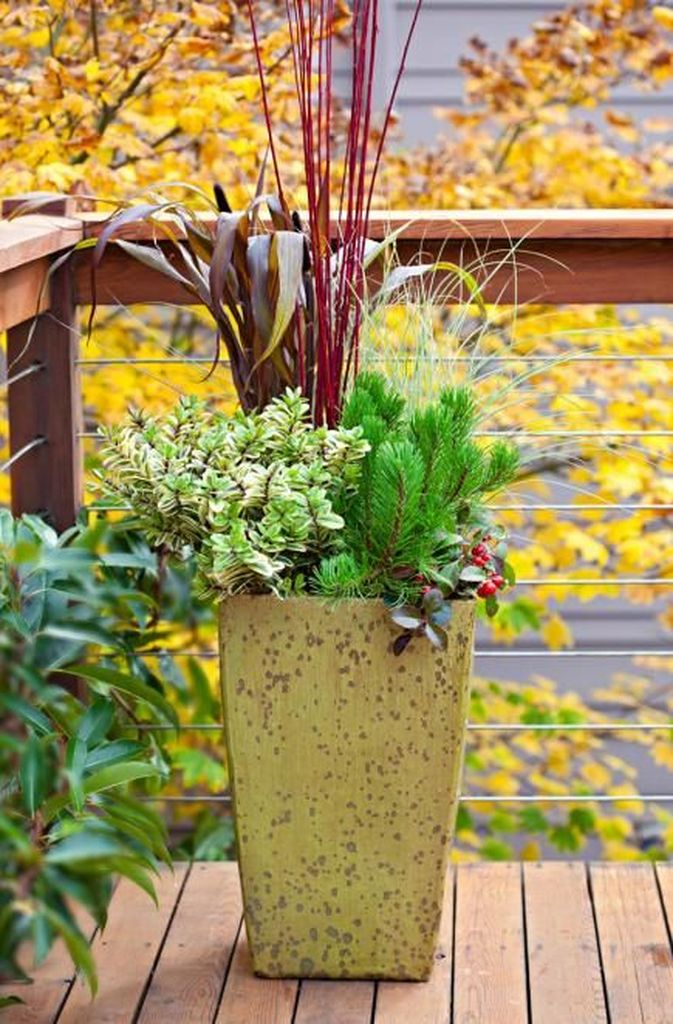 Small plants decoration for outdoor