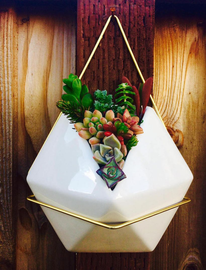 Unique hanging succulent ideas with white pentagon pot to complete decoration