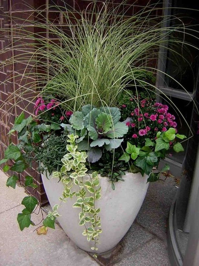 White pot combined with vines and plants