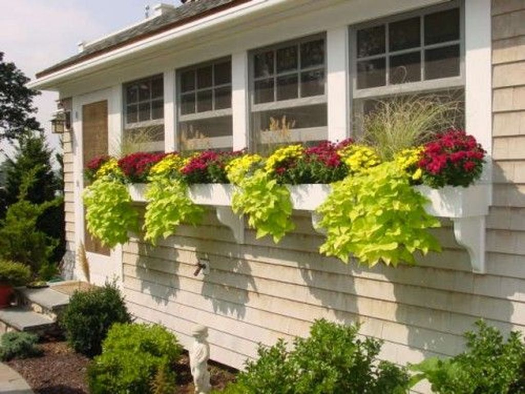 Window plants combined with red flowers