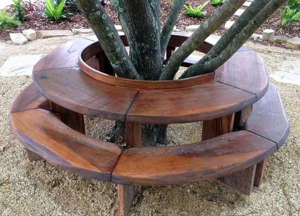 Wooden benches that surround the tree