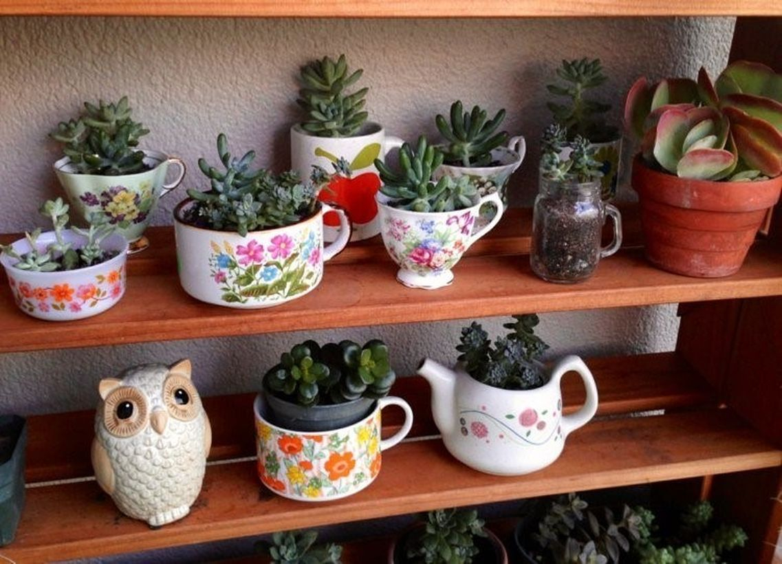 Wooden rack placement succulent ideas with white glass pot to beautify your room