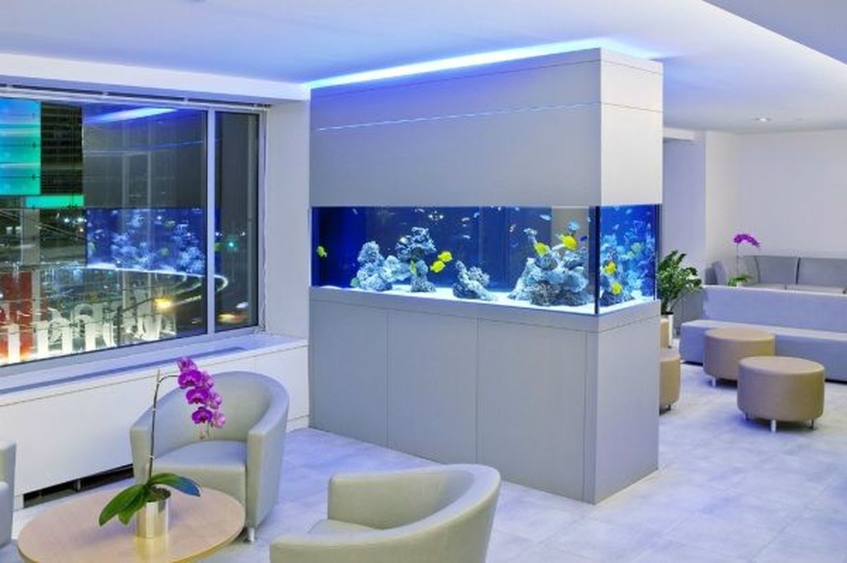 Aquarium room divider