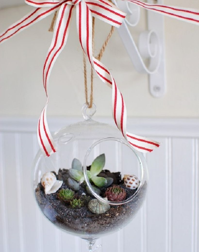 Arrangment succulents and plant them inside a hanging glass globe for your home decoration