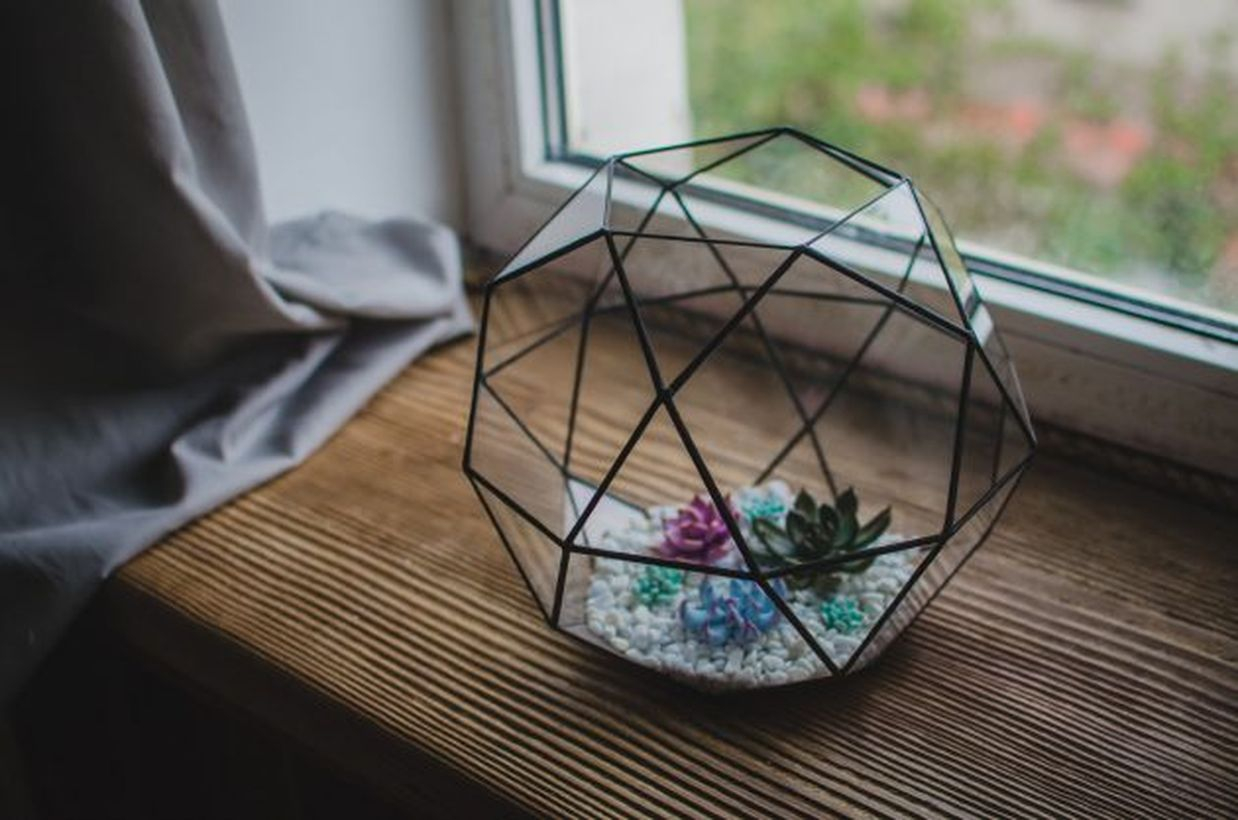 Awesome terrarium designs with black geometric terrarium for table decoration to create beautify