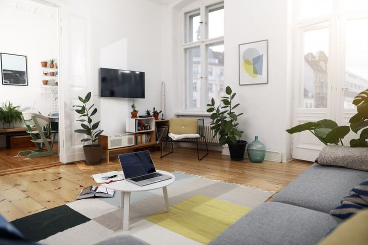 Beautiful easiest houseplants for your apply in living room to create a cozy room
