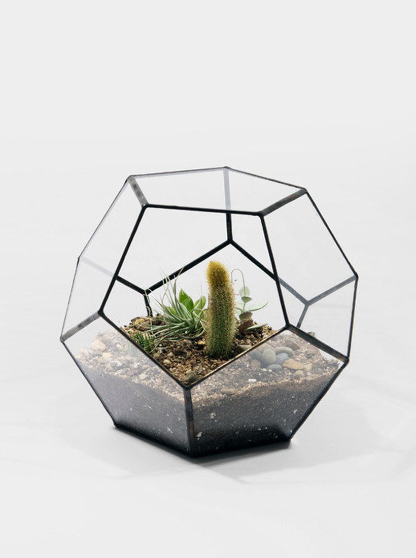 Best terrarium designs with geometric terrarium geometric terrarium hexagon shaped you must try