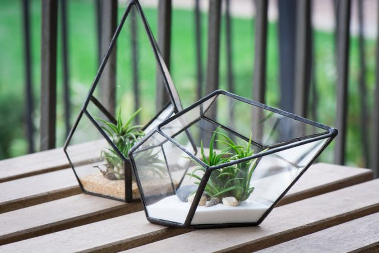 Best terrarium designs with modern geometric terrarium to store succulent for table decoration
