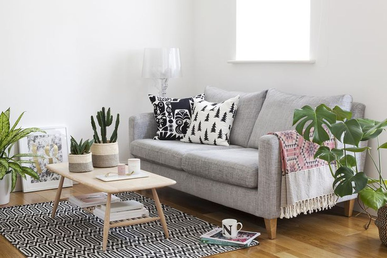 Best greenery for home decoration ideas with floor plants and trees and cactus to create beautify room