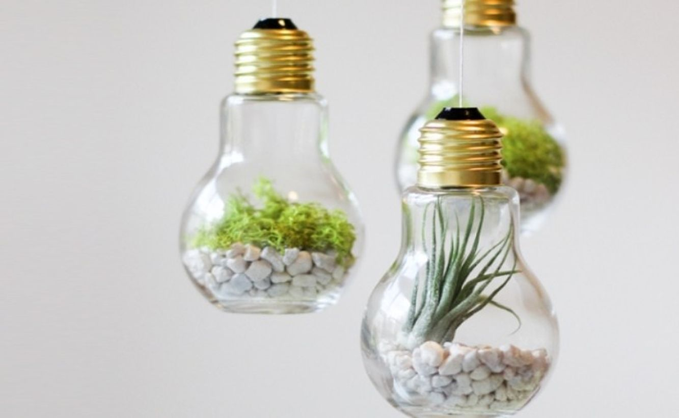Creative terrarium designs from light bulbs former for your home decoration