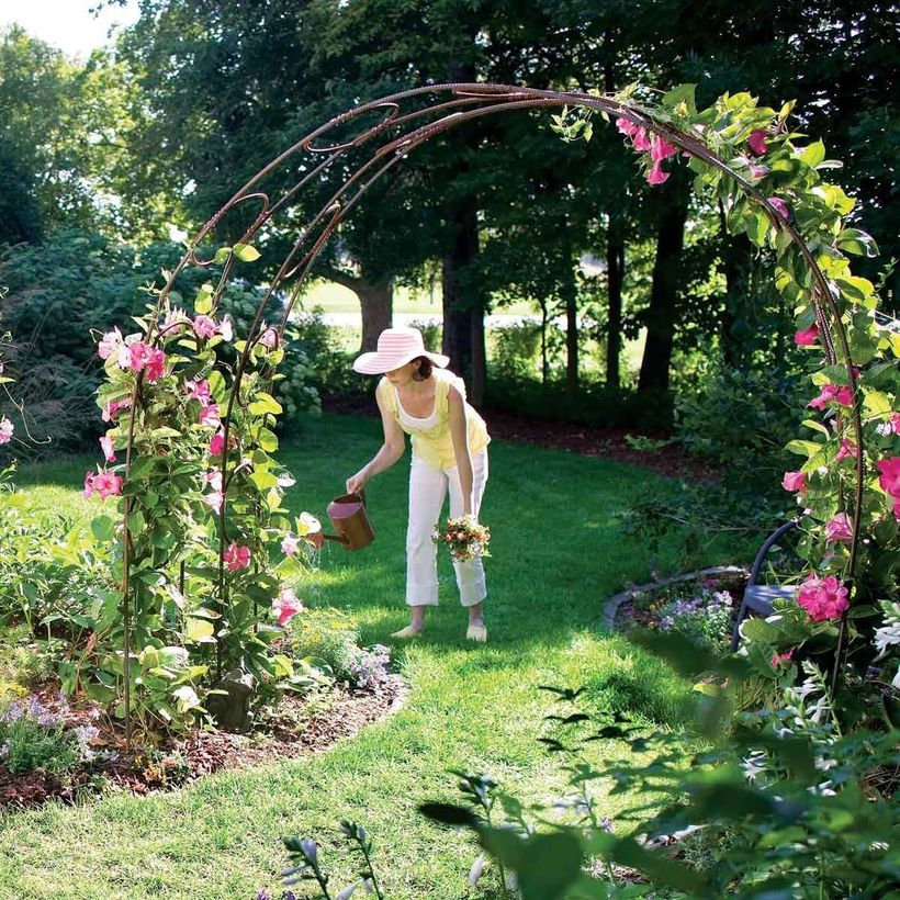 Curva iron trellis
