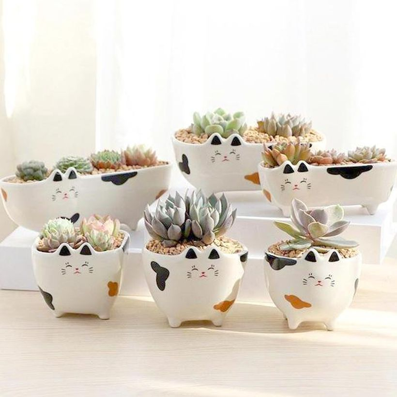 Cute cat ceramic flower pot terrarium for your home decoration