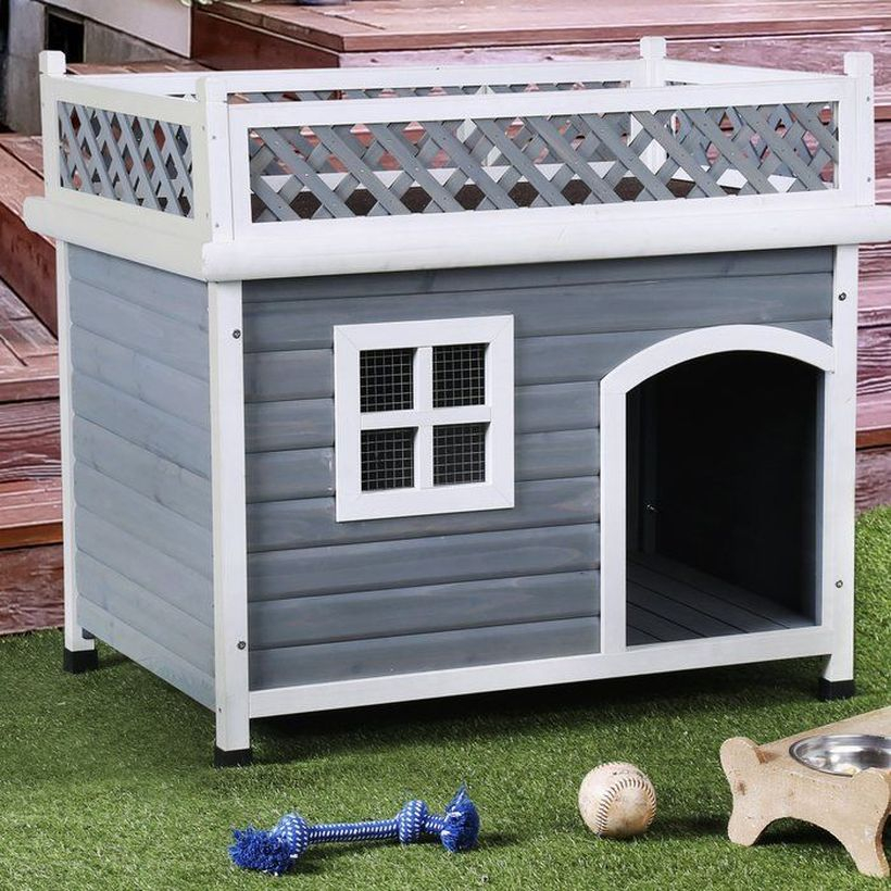 Cute dog house