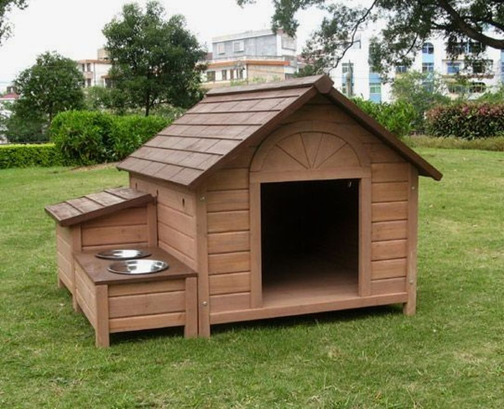 Elegant dog house in backyard