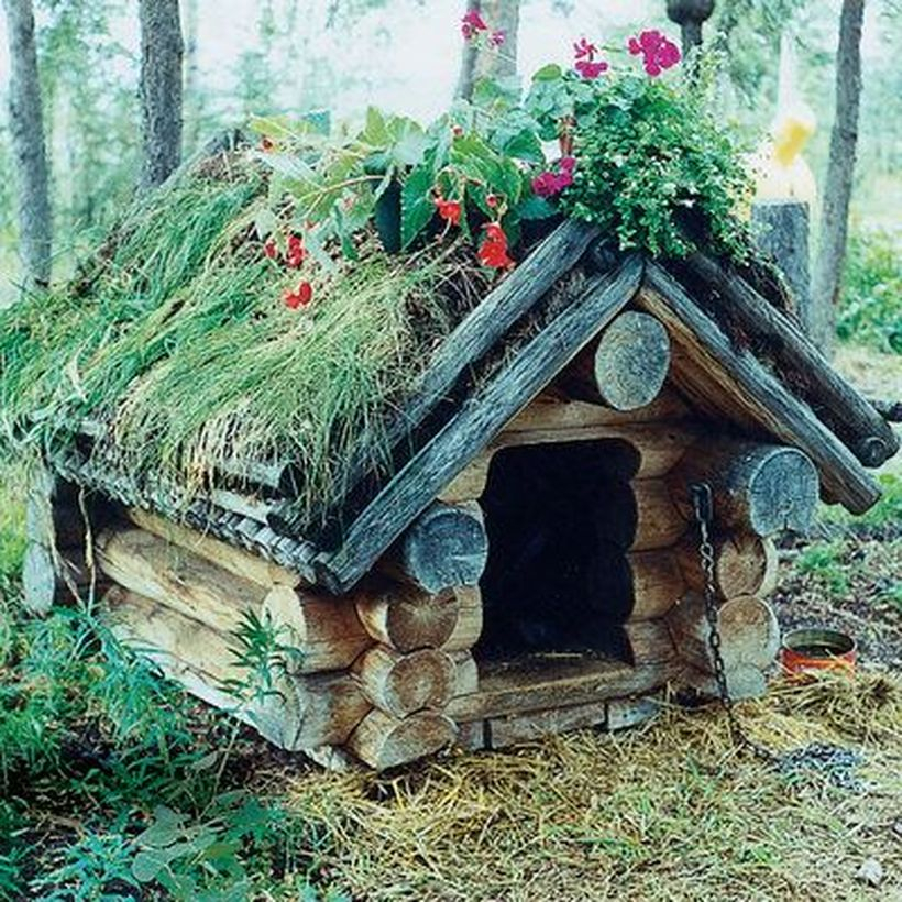 Farmhouse dog house from a tree cut
