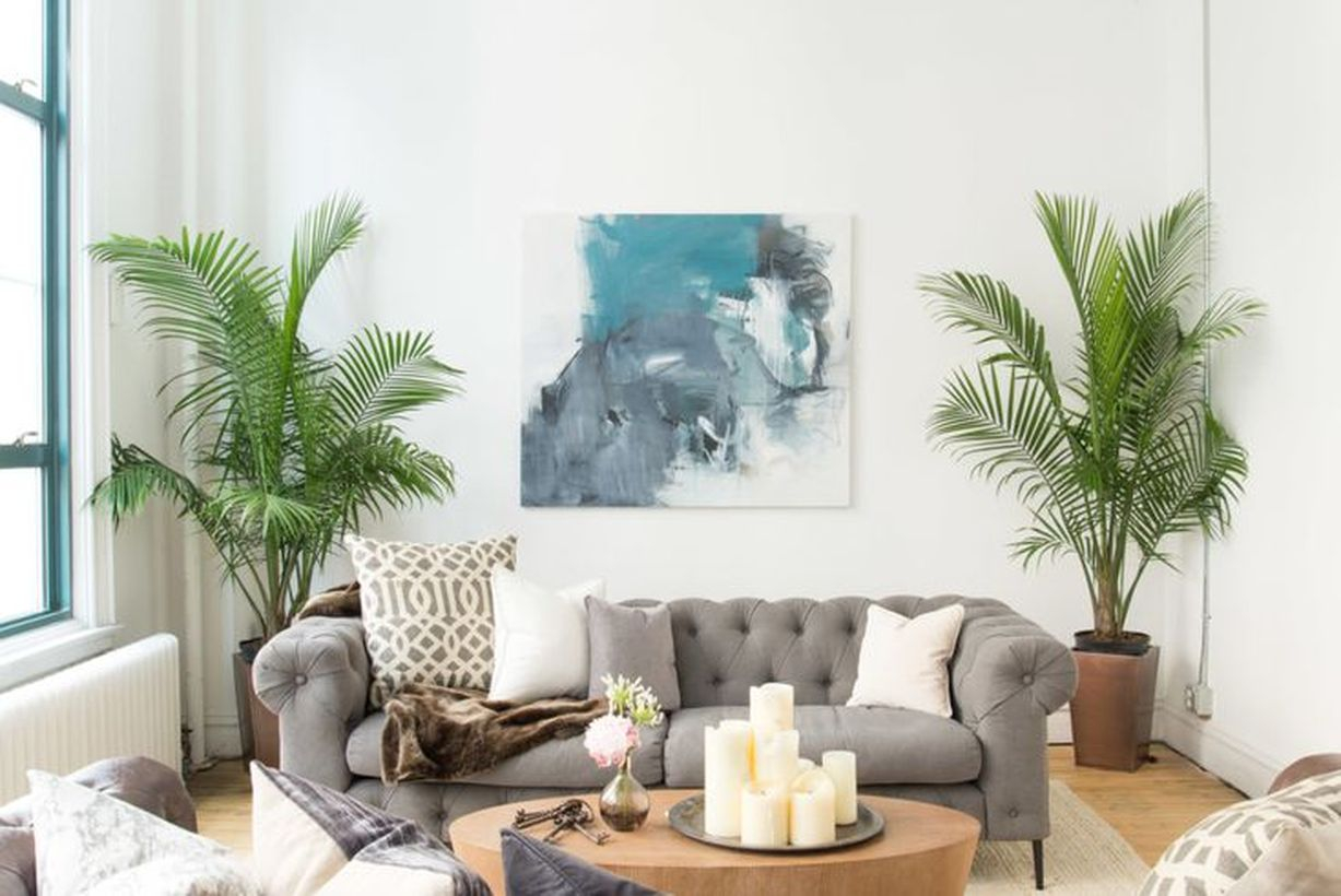 Gorgeous greenery for home decoration ideas with palm tree at the corner for your living room