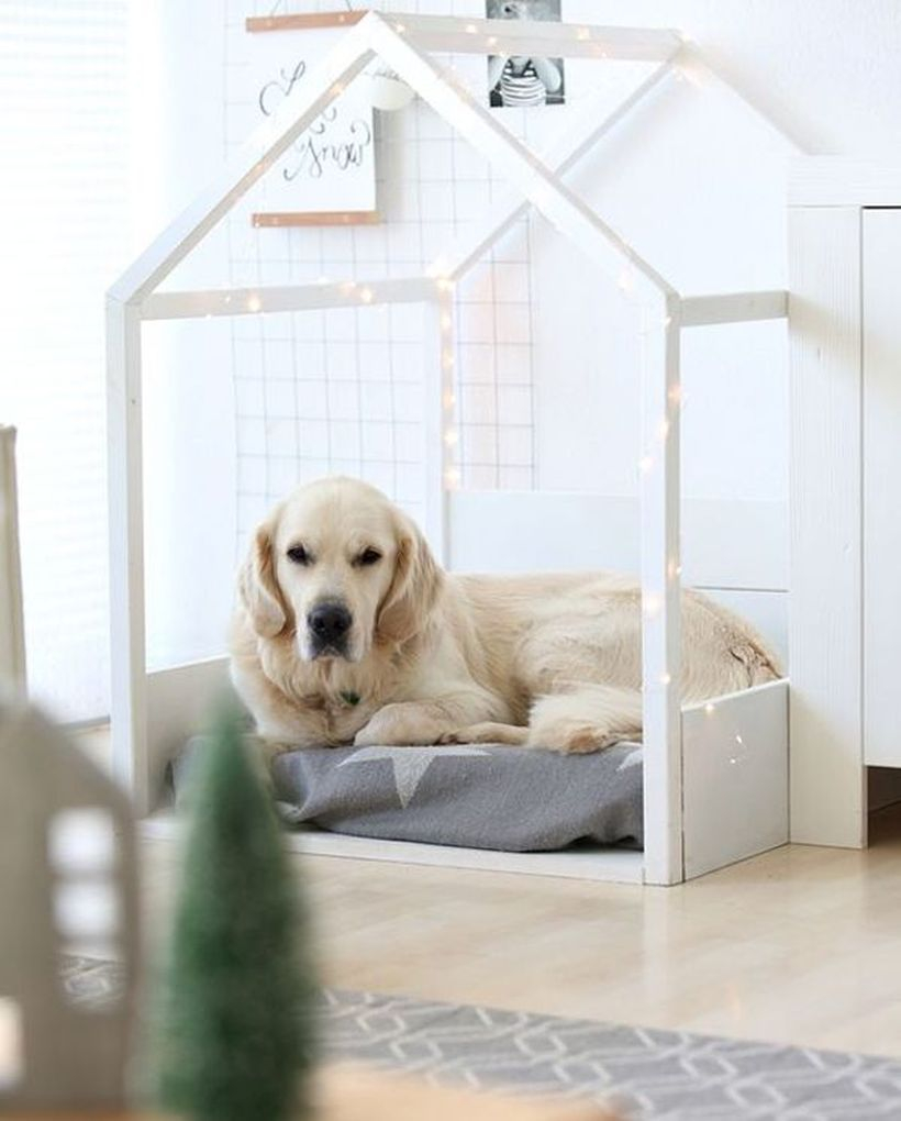 Indoor dog house